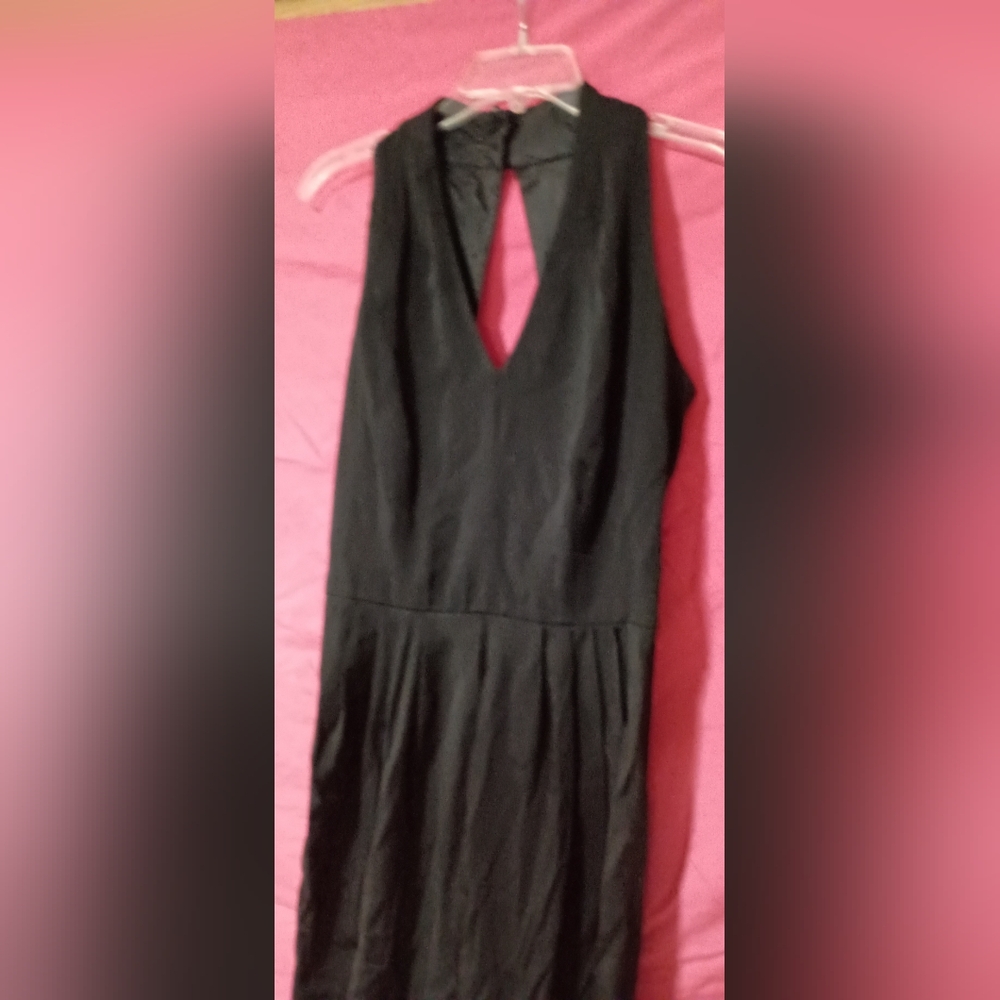 BB Collections Sleeveless Black Dress 14